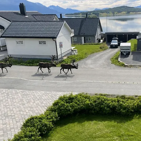 Apartament Modern On Near Tromso With Northern Lights And Nature *