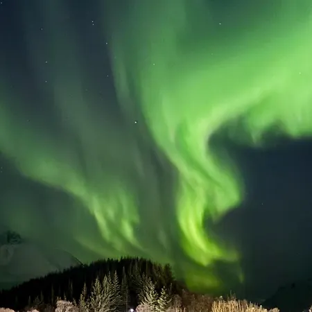 Modern On Near Tromso With Northern Lights And Nature Apartament
